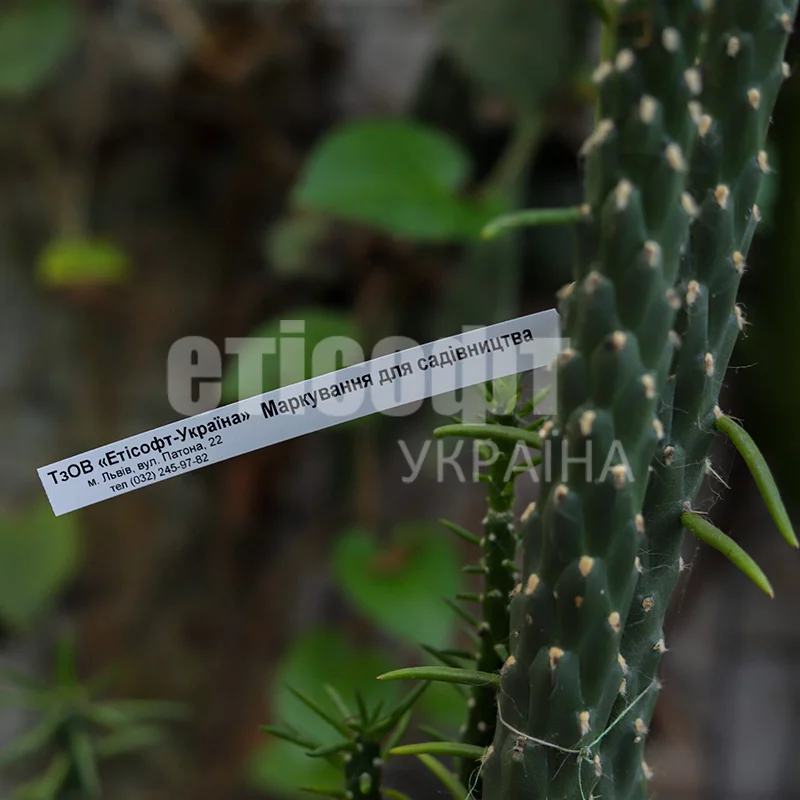 Бірки-петельки для маркування рослин, глянцеві 15х209 мм (1000 шт) - Зображення 8